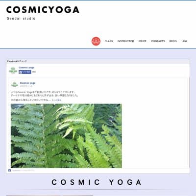 cosmic yoga free studioHP資料