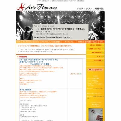 アルテフラメンコ舞踊学院HP資料