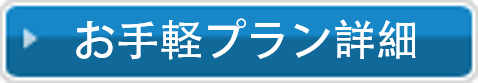 お手軽プラン